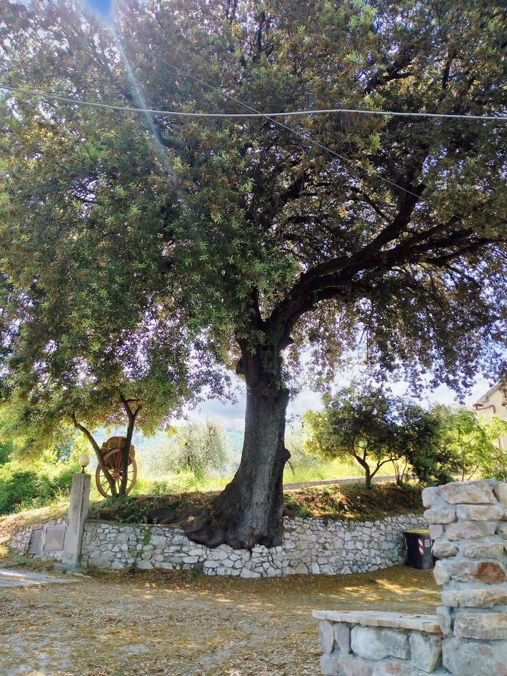 Appartamento vacanze per 4 persone - 1