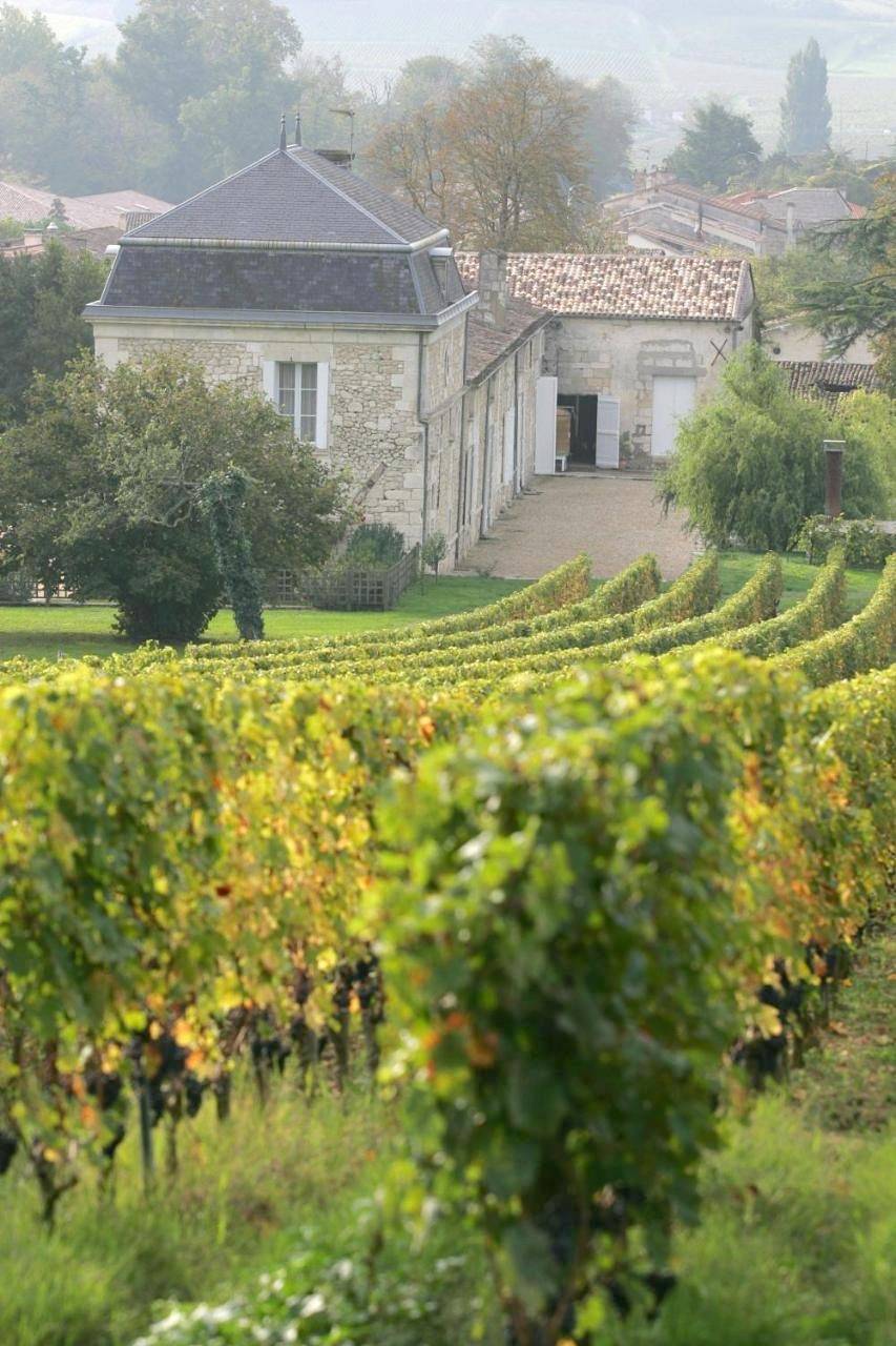 Twin Room with Pool View in Fronsac, Région de Libourne