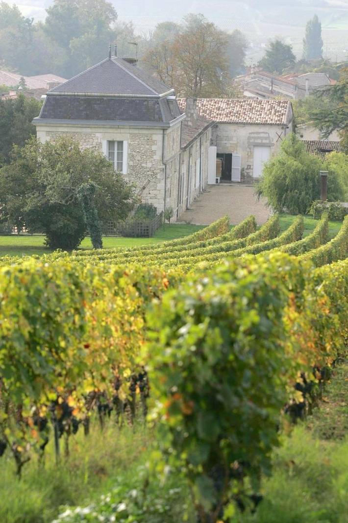 Chambre d’hôte pour 2 personnes, avec terrasse et vue ainsi que piscine et jardin à Fronsac - 4