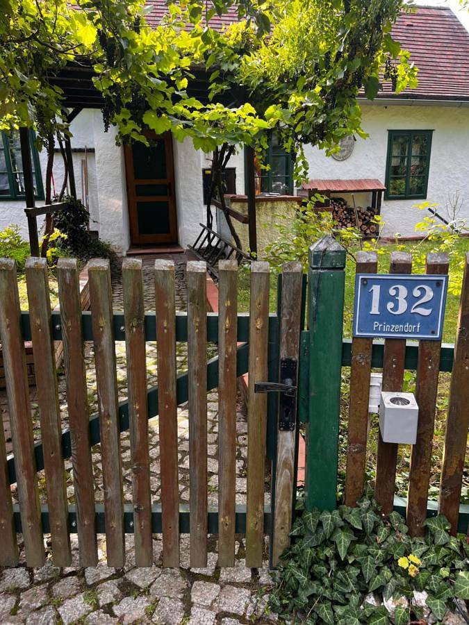 Ganze Wohnung, Apartment - Split Level in Prinzendorf an der Zaya, Hauskirchen