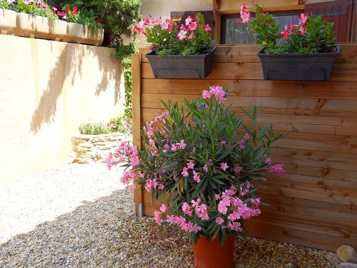 Chambre d’hôte pour 5 personnes, avec piscine et jardin dans le Vaucluse - 4