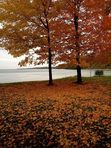 Cottage for 8 Guests in Lake Erie, Picture 4