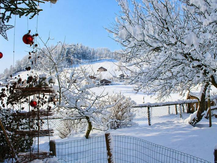 Ganze Ferienwohnung, Hof 280 - Ferienwohnungen Lingenau - Ferienwohnung Annelies in Bregenzerwald (Vorarlberg), Lingenau