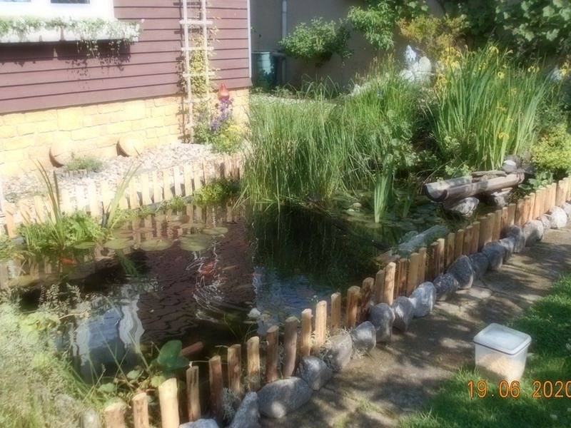 Ganze Ferienwohnung, Appartment Dankerode in Dankerode, Harzgerode