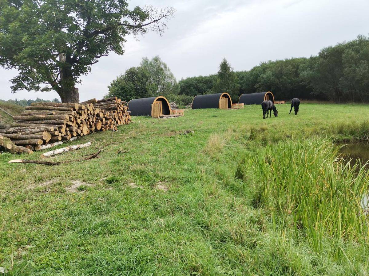 Agroturystyka Dzikie Stawy-Mazury in Mazury