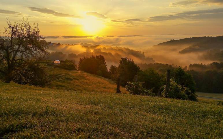 Ferienwohnung für 4 Personen in der Oststeiermark - 3