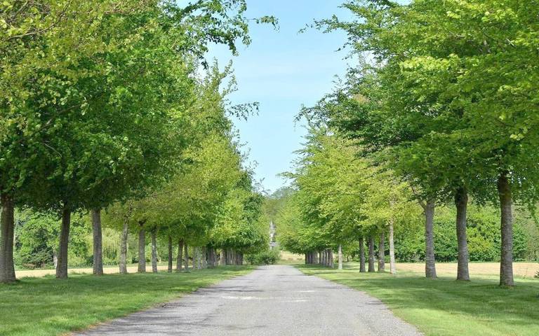 Chambre d’hôte pour 3 personnes, avec jardin et piscine ainsi que vue et vue sur le lac en Ille-et-Vilaine - 3