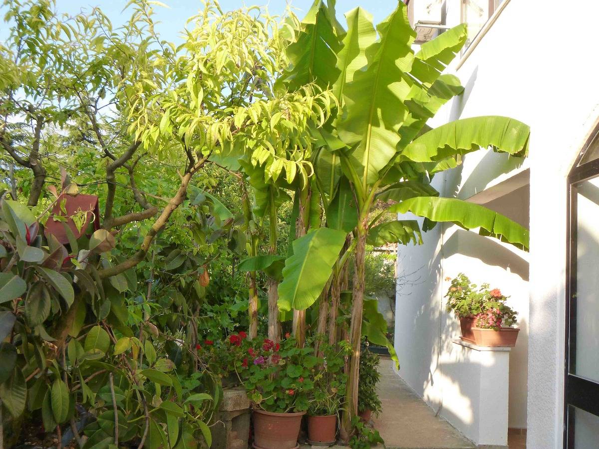 Appartement entier, L'appartement avec air conditionné in Poreč, Région de Porec