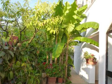 Ferienwohnung für 5 Personen in Poreč, Grad Poreč, Bild 2