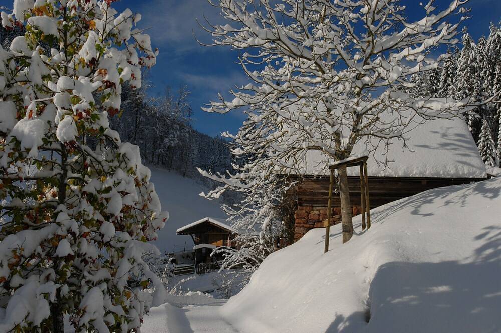 Ganze Wohnung, Ferienwohnung auf Bauernhof mit Ziegen in absolut ruhiger, sonniger Alleinlage in Bad Rippoldsau-Schapbach, Mittlerer Schwarzwald