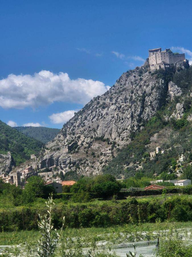 Appartement entier, Dans les oliviers de Titi et Bernard in Entrevaux, Région Castellane