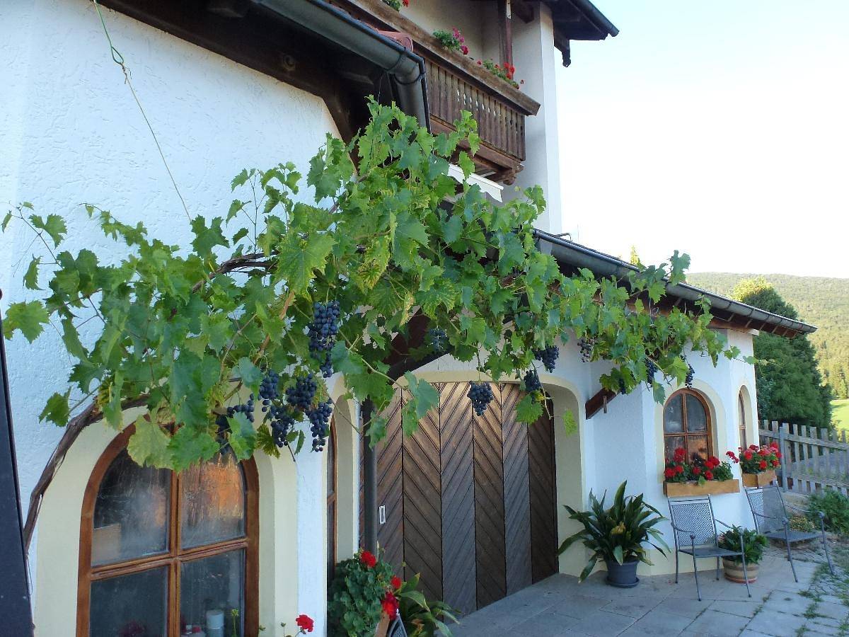 Ganze Wohnung, Ferienwohnungen Wagerer - Ferienwohnung Eckstein in Rimbach (Oberpfalz), Ostbayern