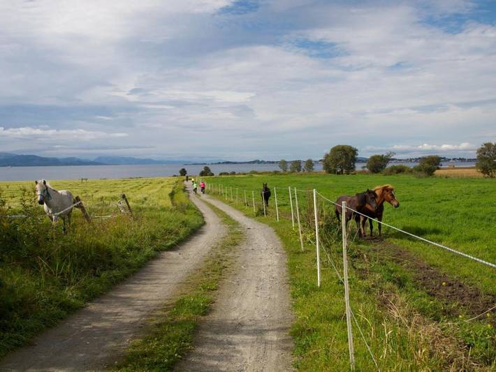 Ferienhaus für 16 Personen, mit Balkon und Terrasse sowie Garten und Ausblick in Ørland