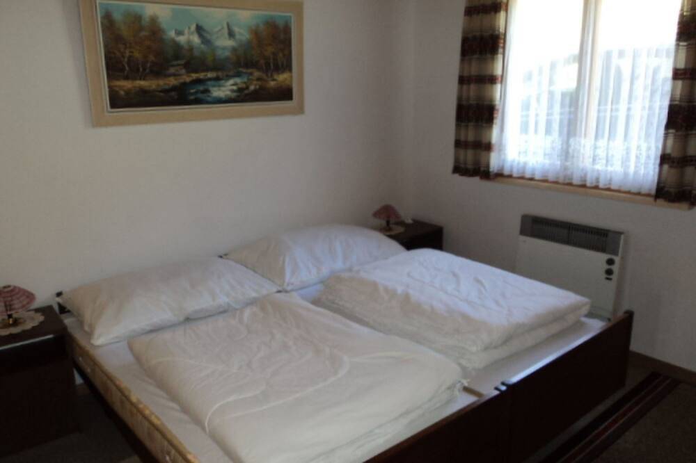 Ganze Wohnung, Casa Soldanella Nadig, Sumvitg, (Sumvitg). in Sumvitg, Alpenarena