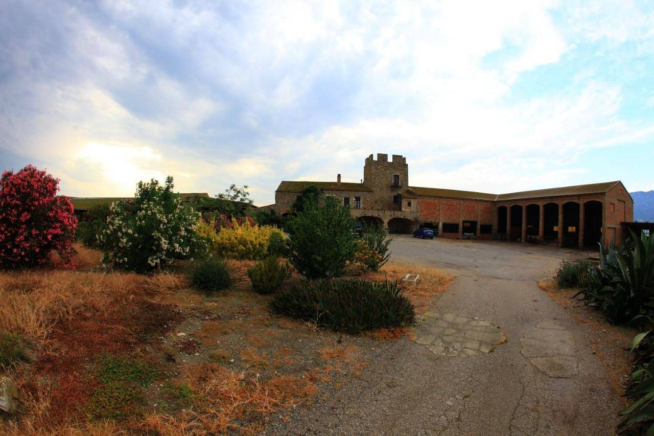 Mas la Torre in Palau-saverdera, Oberampurien