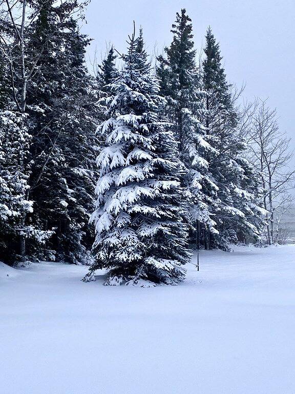 Schönes Ferienhaus am Huronsee - Wifi, Strandfeuergrube, Blick auf die Brücke in St. Ignace, Mackinac County