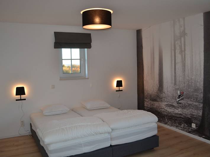 Location de vacances pour 10 personnes, avec sauna et piscine ainsi que jardin et terrasse, animaux acceptés dans Grandhan - 3