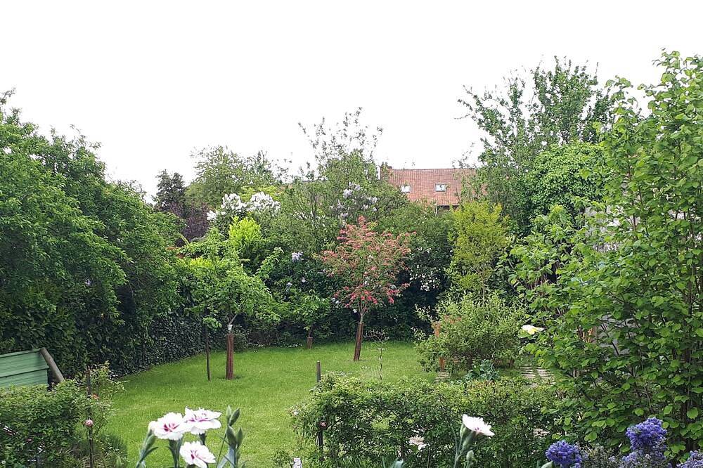 Villa Thérèse: a country house in the center of town, close to the sea! in Étaples, Montreuil region