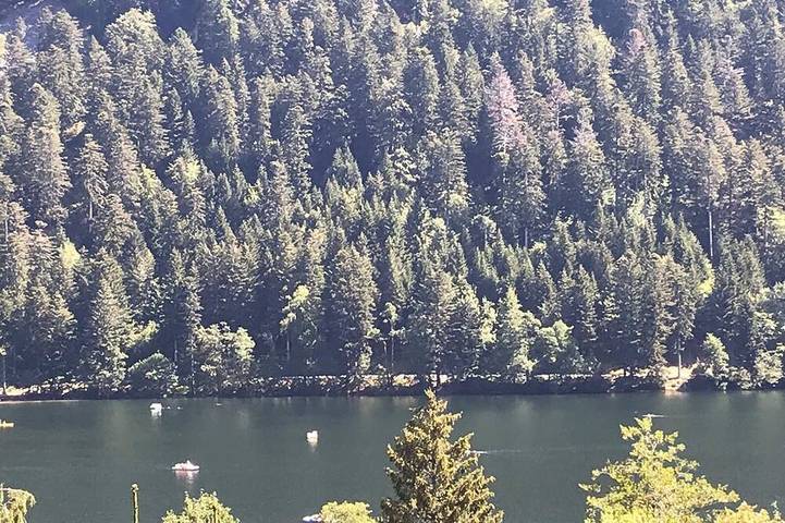 Chalet pour 6 personnes, avec jardin et jacuzzi dans les Vosges