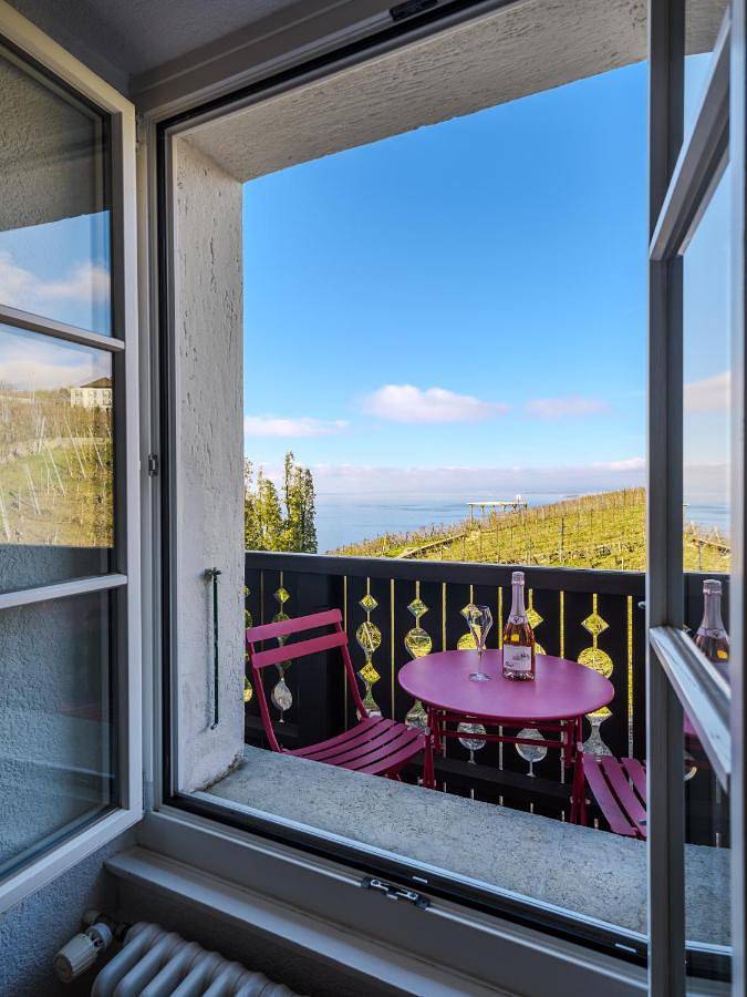 Gîte pour 4 personnes, avec vue ainsi que vue sur le lac et jardin dans Grandvaux - 4