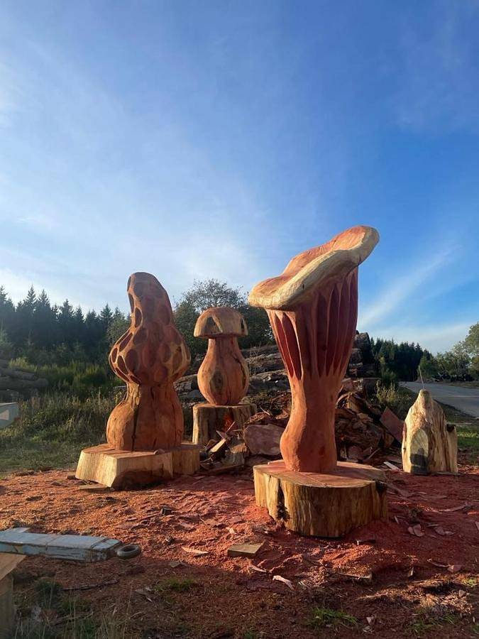 Gîte pour 2 personnes, avec jardin, animaux acceptés à Saint-Bonnet-le-Froid - 2