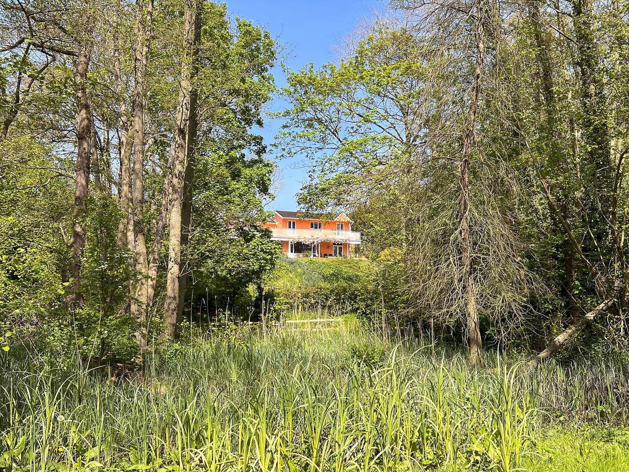 Dunburgh Wood in Geldeston, Sunrise Coast