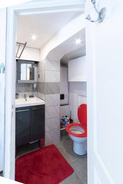 Gîte pour 4 personnes, animaux acceptés à Meyzieu - 2