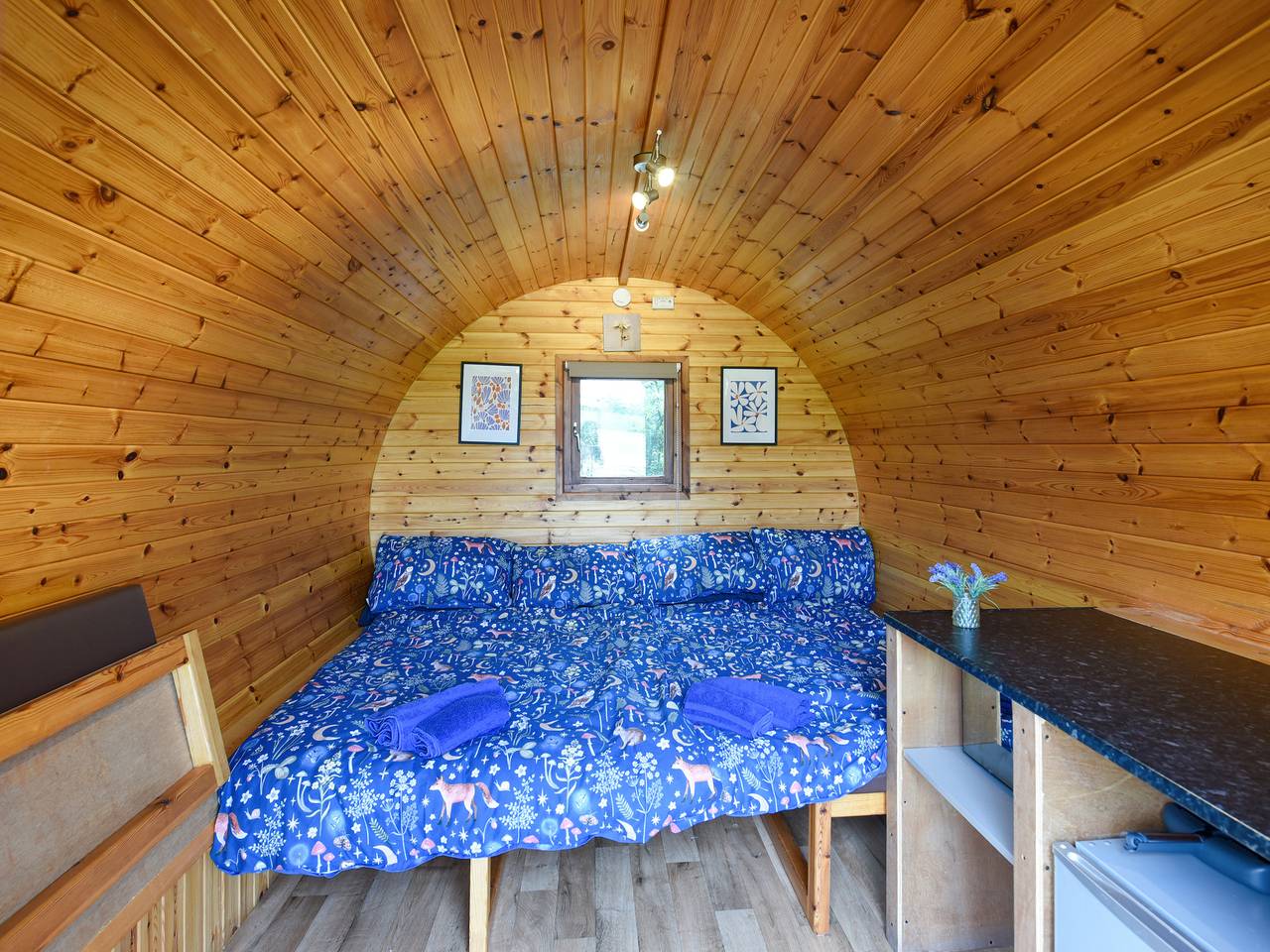 Beech - Glamping Pod - Uk49945 in Shropshire