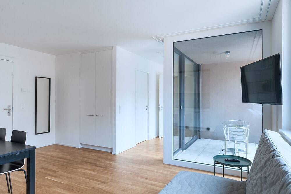 Ganze Wohnung, Bs Bear Ii - Messe Hitrental Apartment in Basel Zustellkreis, Basel