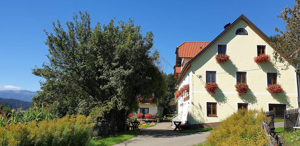 Pension für 4 Personen, mit Garten und Terrasse, kinderfreundlich in der Steiermark