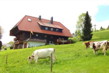 Ferienwohnung für 7 Personen in Schonach ort, Schonach im Schwarzwald, Bild 1