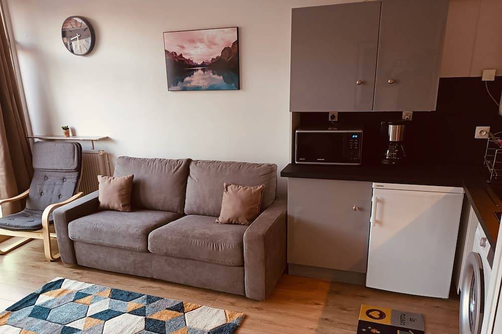 Geheel appartement, Studio Near Grotte - Fully Equipped - Refurbished in Lourdes, Hautes-Pyreneeën