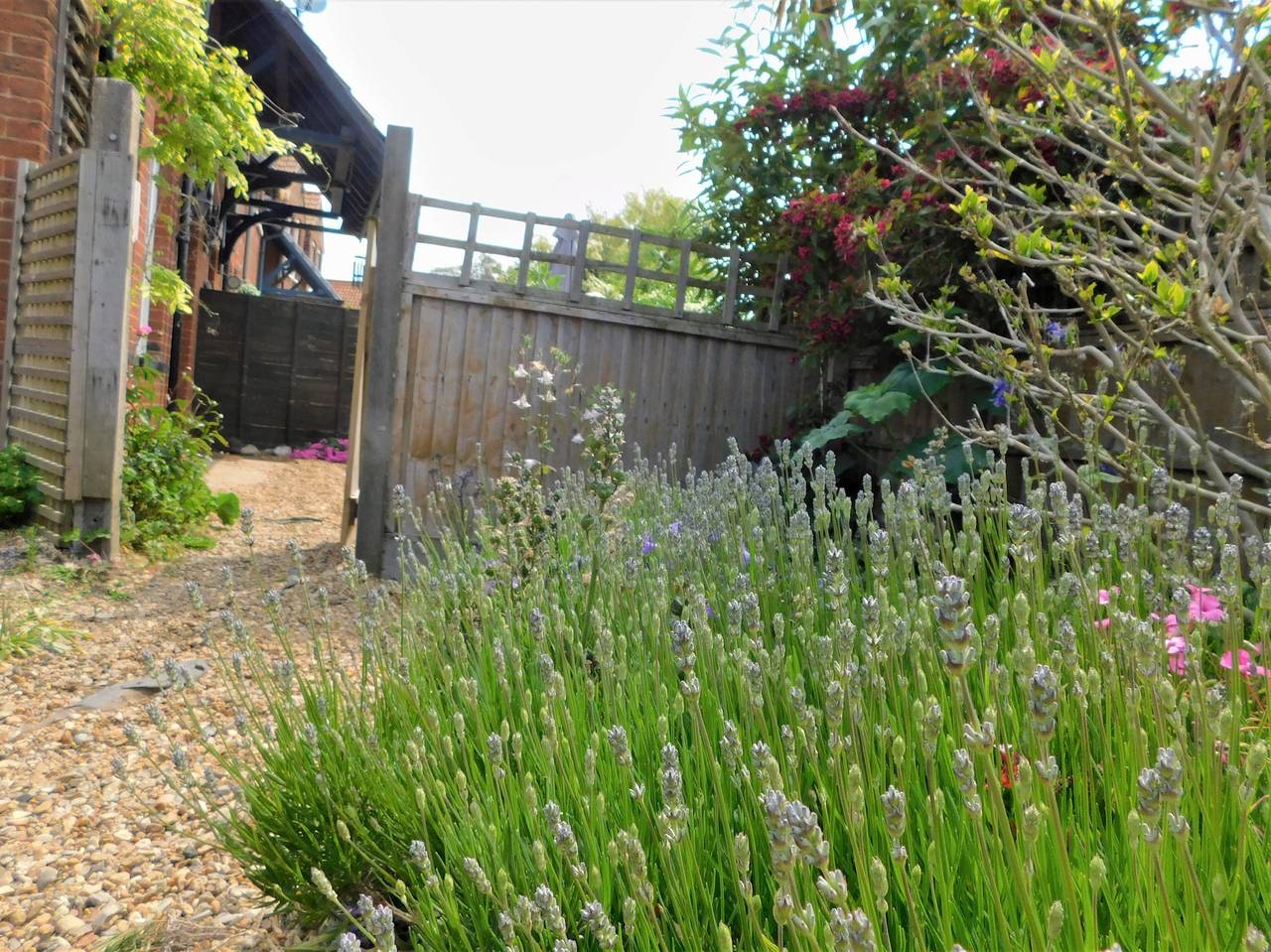 1 Orchard Cottages in Runton, Norfolk Coast