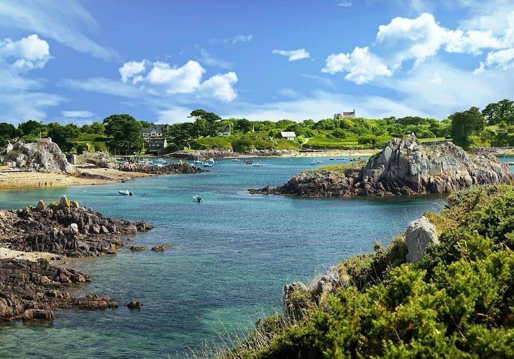 Charmante Maison sur le port Loguivy de la Mer in Loguivy de la Mer, Ploubazlanec