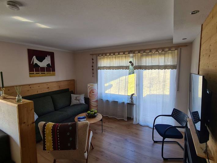 Ganze Wohnung, Komfortable Ferienwohnung mit überdachter Terrasse in ländlicher Lage. in Steibis, Oberstaufen