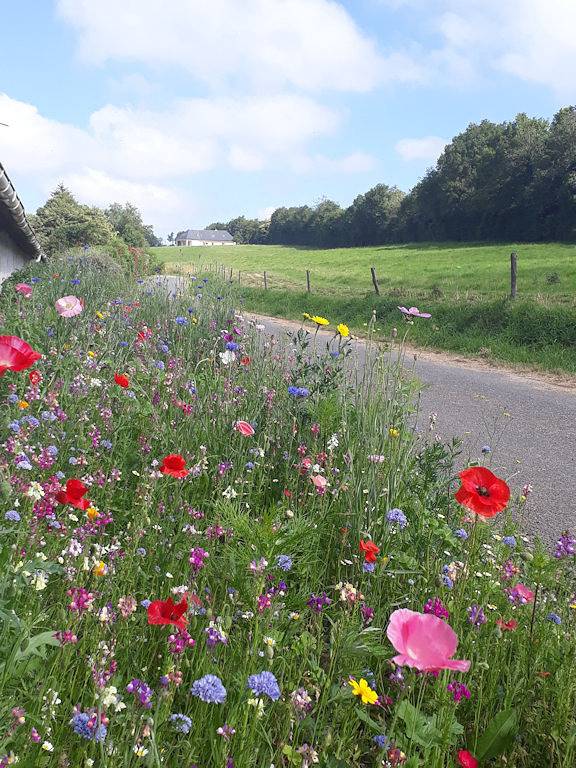 Gîte pour 7 personnes, avec jardin et balcon dans l' Aveyron - 3