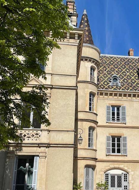 Appartement entier, Grand appartement d'exception au Château Randin in Écully, Lyon et ses environs