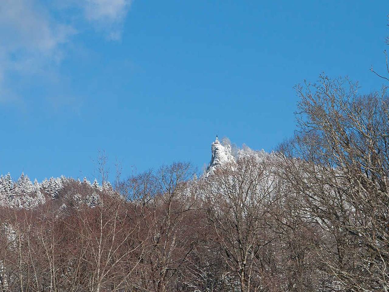 Gästehaus Florian - Einzelzimmer 7 in Bayerische Alpen