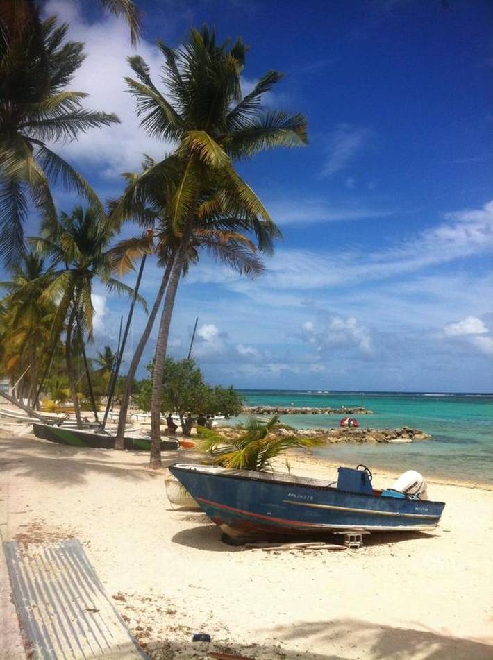 Gîte pour 2 personnes, avec jardin, animaux acceptés dans Port De Saint Francois - 3