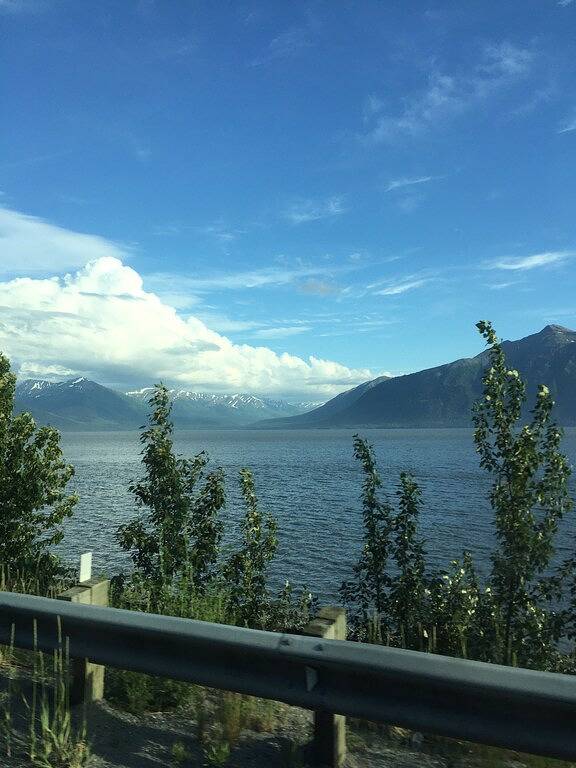 Ganze Wohnung, Kundenspezifisches Blockhaus in Girdwood, Alaska in Girdwood, Anchorage