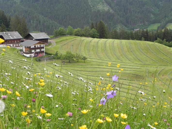 Ferienwohnung für 2 Personen, mit Balkon und Terrasse sowie Garten und Ausblick in Matrei in Osttirol - 2