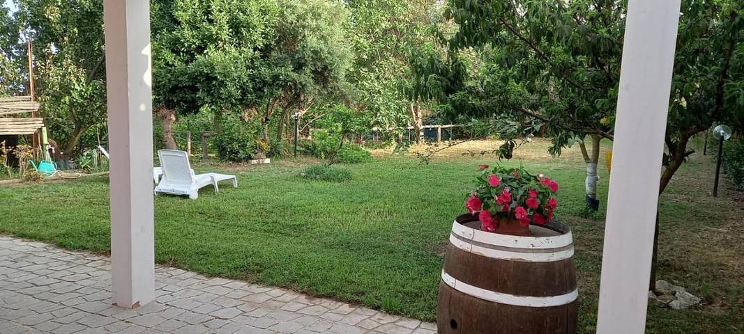 Gîte pour 3 personnes, avec vue et terrasse, animaux acceptés à Procida - 2