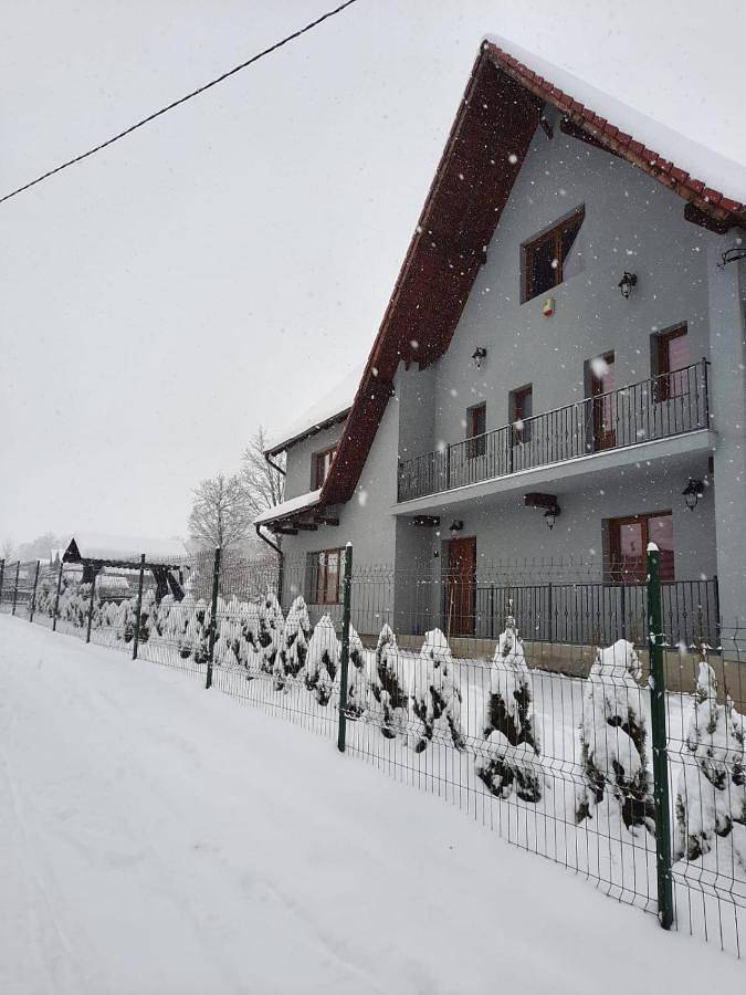 Location de vacances pour 20 personnes, avec jacuzzi et jardin dans Mureș - 4