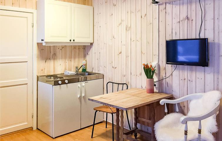 Ferienwohnung für 4 Personen, mit Seeblick und Sauna in Lillehammer - 4