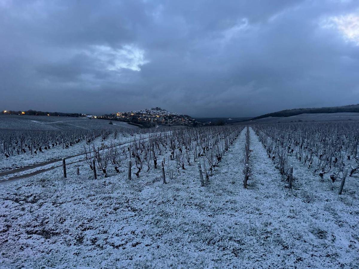 Maison Palomase en plein cœur de Sancerre in Sancerre, Région de Bourges