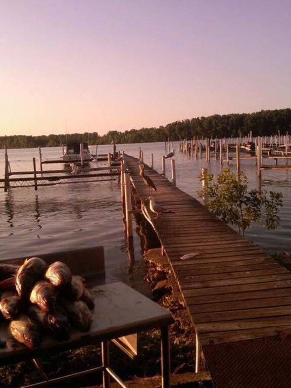 Vacation House for 7 Guests in Lake Erie, Ohio