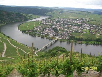 Vacation Apartment for 3 Guests in Piesport, Moseleifel, Picture 2