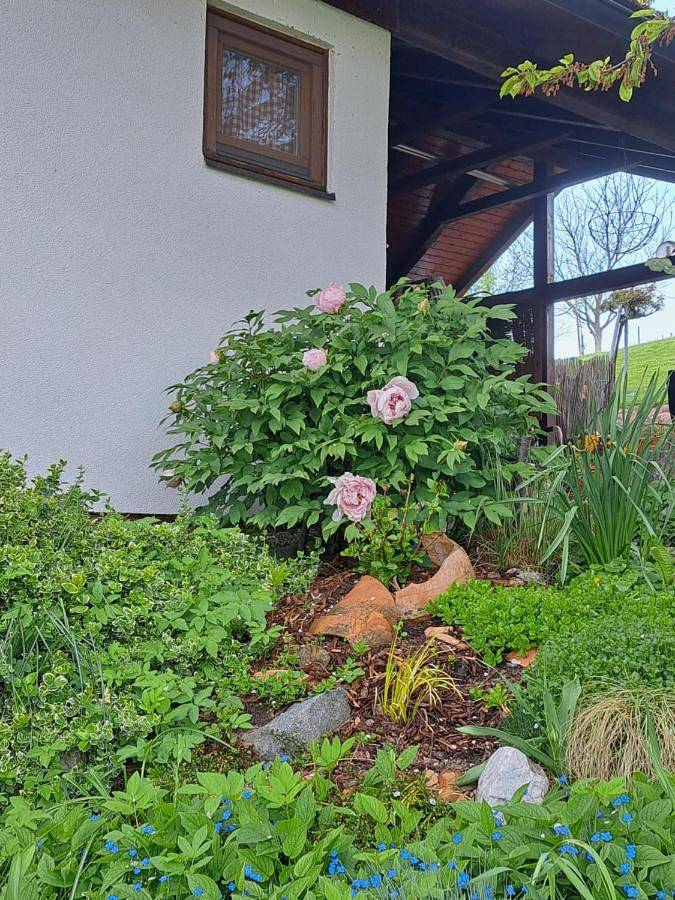 Vakantiehuis voor 2 personen, with terras and uitzicht as well as zwembad and tuin in Slovenië