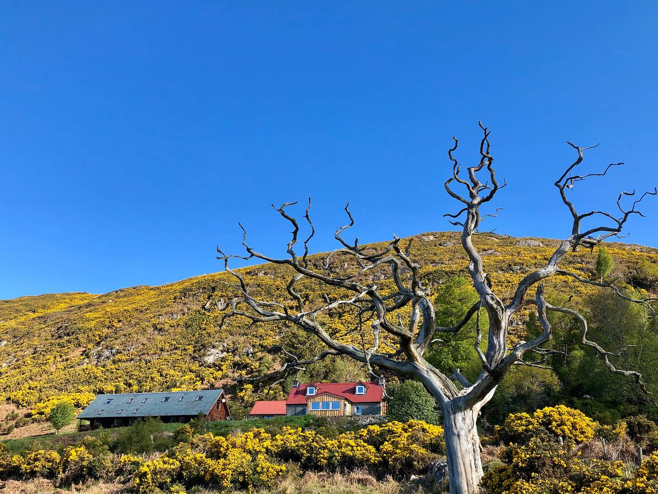 Nan's Cottage in Highlands