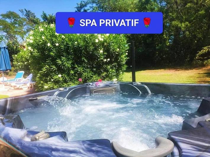 Chambre d’hôte pour 4 personnes, avec jacuzzi ainsi que jardin et piscine à Puget-sur-Argens - 2